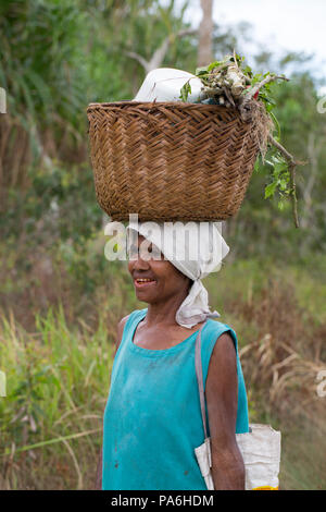 La donna porta forniture, fiume Sepik, Papua Nuova Guinea Foto Stock