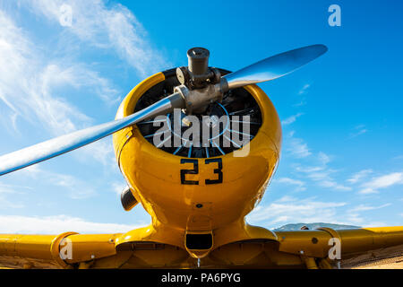 La North American Aviation T-6 texano; SNJ-5; Harriett Alexander campo; air show; Salida; Colorado; USA Foto Stock