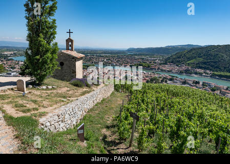 Hermitage vigneti a Tain l'Hermitage, la Valle del Rodano, Francia Foto Stock