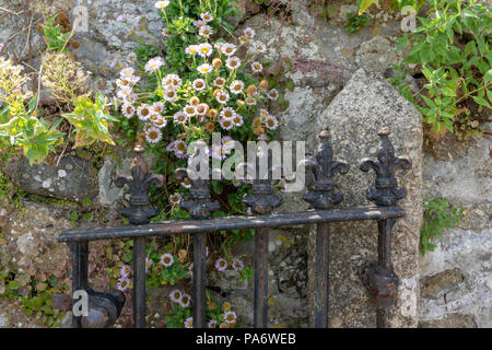 Mousehole Cornwll, REGNO UNITO Foto Stock