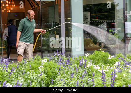 Città di Londra. Londra. Regno Unito 20 luglio 2018 - Un parco di innaffiamento delle presenze di aiuole fiorite utilizzando un tubo flessibile dell'acqua. In alcune parti del Regno Unito tubo flessibile divieto sarà applicato dal 5 agosto a causa del continuo ondata di caldo e la mancanza di pioggia. Credito: Dinendra Haria/Alamy Live News Foto Stock