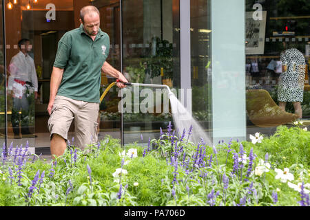 Città di Londra. Londra. Regno Unito 20 luglio 2018 - Un parco di innaffiamento delle presenze di aiuole fiorite utilizzando un tubo flessibile dell'acqua. In alcune parti del Regno Unito tubo flessibile divieto sarà applicato dal 5 agosto a causa del continuo ondata di caldo e la mancanza di pioggia. Credito: Dinendra Haria/Alamy Live News Foto Stock