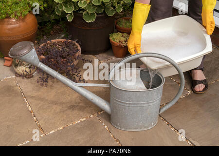 Melton Mowbray, Regno Unito. Il 20 luglio 2018. Il Regno Unito continua canicola estiva e richieste da Severn Trent acqua per i consumatori a risparmiare acqua porta giardinieri di acqua nei loro giardini mediante lavaggio fino (grigio) acqua. Melton Mowbray, Leicestershire, Regno Unito. Photimageon/Alamy Live News Foto Stock