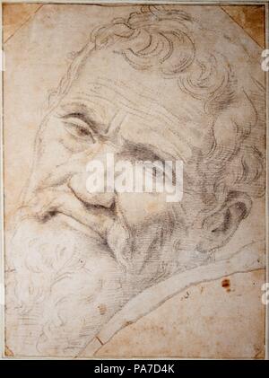 Ritratto di Michelangelo Buonarroti (1475-1564). Museo: Teylers Museum di Haarlem. Foto Stock