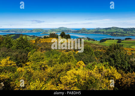 Penisola di Otago e il porto dal Monte Cargill, Otago, Isola del Sud, Nuova Zelanda Foto Stock