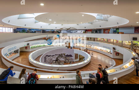 Museo di Scienze Naturali (Museo Provincial de Ciencias Naturales) interni - Cordoba, Argentina Foto Stock