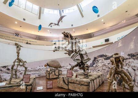 Museo di Scienze Naturali (Museo Provincial de Ciencias Naturales) interni - Cordoba, Argentina Foto Stock