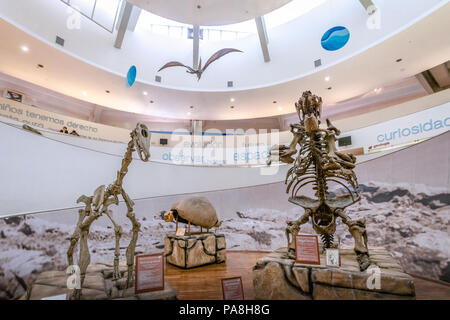 Museo di Scienze Naturali (Museo Provincial de Ciencias Naturales) interni - Cordoba, Argentina Foto Stock