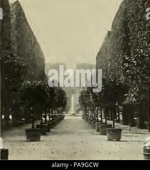 224 S 357 Abb 358 Allee a Schönbrunn Foto Stock