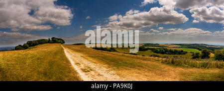 Anello Chanctonbury Età del Ferro hill fort sulla South Downs Way, West Sussex, Regno Unito Foto Stock