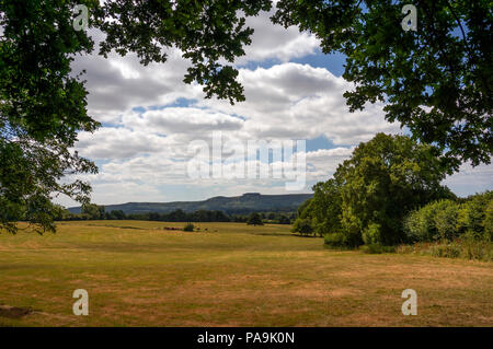 Vista dalla Weald a Chanctonbury Ring nel South Downs National Park, West Sussex, Regno Unito Foto Stock