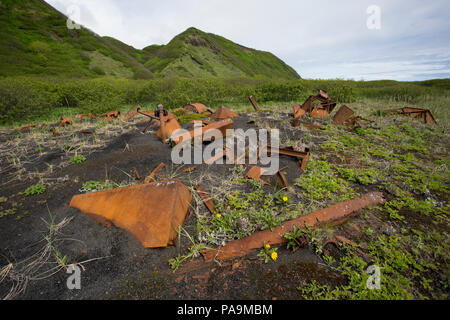 Resti di epoca sovietica Gulag per donne e fox farm - Atlasov Island, isole Curili Foto Stock