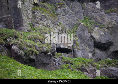 War Tunnels e caserma di pistola sull isola Onekotan, isole Curili Foto Stock