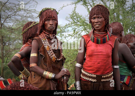 Hamer donne durante Bull Jumping cerimonia (Ukuli rituale) da Hamer Hamar tribù, Etiopia Foto Stock