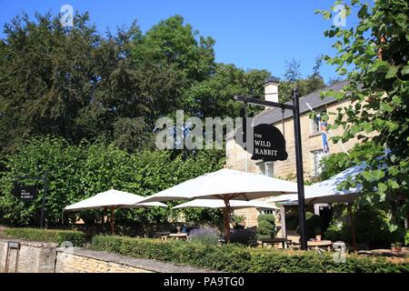 Il coniglio selvatico, Kingham, Oxfordshire, Regno Unito Foto Stock