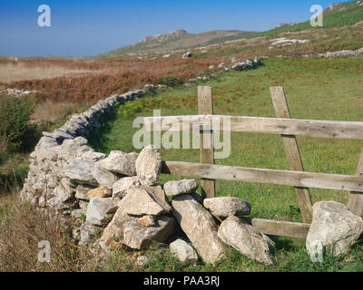 Muri in pietra a secco e i campi in Galizia, Spagna settentrionale Foto Stock