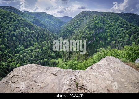 Bordo di Tomasovsky vyhlad punto di visualizzazione sul lato sinistro del fiume Hornad valley in Paradiso Slovacco National Park, Slovacchia Foto Stock