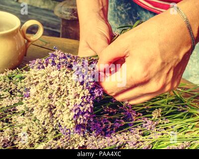 Abili mani di ragazza mettendo fiori freschi di lavanda in meravigliosamente profumato bouquet. Fiori e giardino cesoie sul tavolo di legno sul posto di lavoro Foto Stock