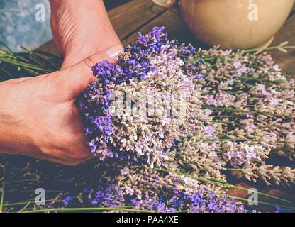 Ragazza preparare aromatici di erbe officinali per camere da letto. Bel mazzo di lavanda fresca (Lavandula angustifolia) Foto Stock