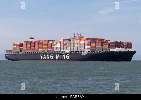 Nave portacontainer YM in entrata della testa del pozzo di Rotterdam. Yang Ming Marine Transport Corporation è un Ocean Shipping Company basato in Keelung, Taiwan. Foto Stock