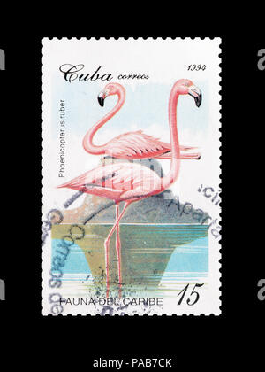 Annullato francobollo stampato da Cuba, che mostra dei Caraibi Flamingo, circa 1994. Foto Stock