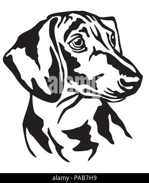 Ritratto decorativo di cane bassotto, vettore isolato illustrazione in colore nero su sfondo bianco Illustrazione Vettoriale