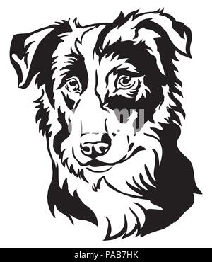 Ritratto decorativo di cane Border Collie, vettore isolato illustrazione in colore nero su sfondo bianco Illustrazione Vettoriale