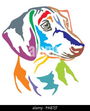 Decorativo colorato ritratto nel profilo del cane bassotto, illustrazione vettoriale in colori diversi isolati su sfondo bianco Illustrazione Vettoriale