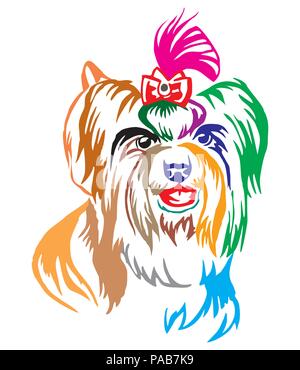 Decorativo colorato ritratto di cane Biewer Terrier ( Yorkshire Terrier), illustrazione vettoriale in colori diversi isolati su sfondo bianco Illustrazione Vettoriale