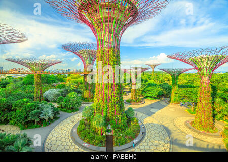 Singapore - Aprile 29, 2018: vista aerea del Supertree Grove a giardini dalla baia in una giornata di sole con cielo blu. Famosa attrazione turistica in area di Marina Bay, Singapore. Paesaggio urbano di Singapore. Foto Stock