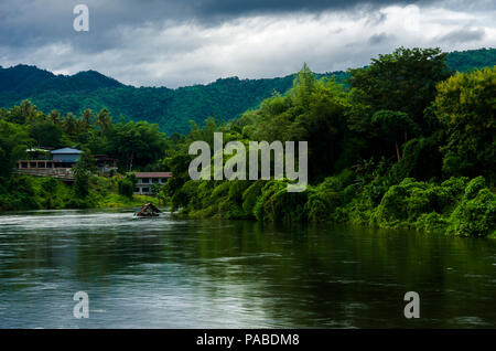 Bella di fiore di arancia testa nel parco pubblico a Chiang Mai, Thailandia. Foto Stock