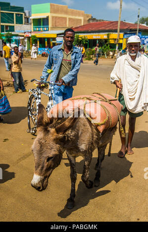 OMO, Etiopia - Settembre 19, 2011: Non identificato uomo Etiope con Donkey. Persone in Etiopia soffrono di povertà a causa della situazione instabile Foto Stock