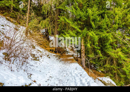 Regina Margherita percorso escursionistico, tra il castello di Savoia e il villaggio alpino di Gressoney, situato nella Valle d'Aosta, Italia settentrionale. Foto Stock