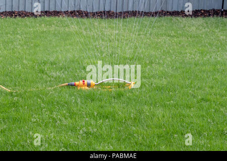 Irroratore fissato ad un tubo flessibile giallo utilizzato per acqua a prato Foto Stock