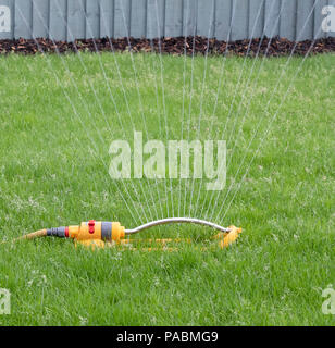 Irroratore fissato ad un tubo flessibile giallo utilizzato per acqua a prato Foto Stock