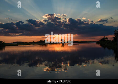 Assateague Island, Berlin Maryland USA Foto Stock