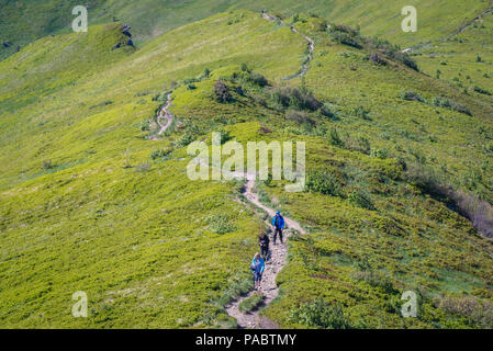 Itinerario turistico tra Rozsypaniec e Halicz picchi nei monti Bieszczady in Polonia meridionale Foto Stock