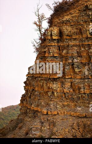 Una ripida roccia e un numero sempre crescente di albero secco su di esso Foto Stock