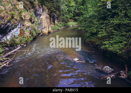 Fiume Hornad visto dal sentiero escursionistico chiamato Prielom Hornadu in Paradiso Slovacco National Park, parte nord della slovacca Monti Metalliferi in Slovacchia Foto Stock