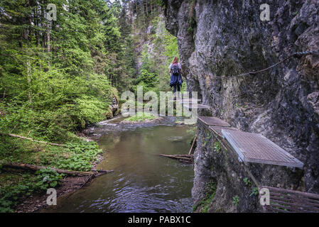 Fasi di ferro e le catene sul sentiero escursionistico chiamato Prielom Hornadu, lungo il canyon del fiume Hornad in Paradiso Slovacco National Park, Slovacchia Foto Stock