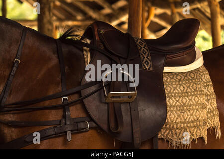 Sella in cuoio sul polo horse. Questo giovane animale è in appoggio nelle scuderie prima di un torneo importante Foto Stock