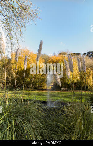 " Isola di Raymill', Maidenhead, Berkshire, Regno Unito, vista generale, cielo blu, in una giornata di sole di 'Raymill Island', Gran Bretagna, © Peter SPURRIER, Foto Stock