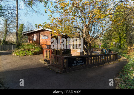 " Isola di Raymill', Maidenhead, Berkshire, Regno Unito, vista generale, cielo blu, in una giornata di sole di 'Raymill Island', Gran Bretagna, © Peter SPURRIER, Foto Stock