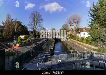 Maidenhead, Berkshire, Regno Unito, vista generale, 'Boulters Lock', 'Raymill isola", blocco vuoto, il fiume Tamigi e Thames Valley, corteccia di albero, © Peter SPURRIER, Foto Stock