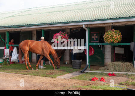 Il stabels a Fort Erie racetrack in Fort Erie, Ontario, Canada. Foto Stock