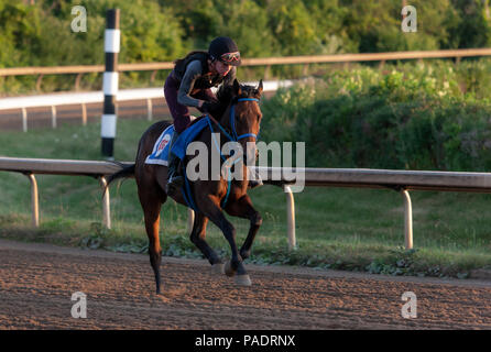 Fort Erie Race Track mattina presto Foto Stock