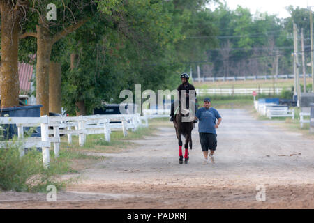 Fort Erie Race Track mattina presto Foto Stock