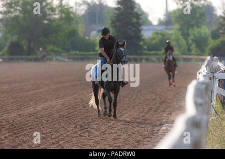 Purosangue cavalli da corsa e jockey fanno la loro strada attorno al 1 - miglio via a Fort Erie Racetrack durante la mattina presto il warm-up. Foto Stock