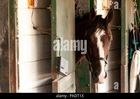 Il stabels a Fort Erie racetrack in Fort Erie, Ontario, Canada. Foto Stock