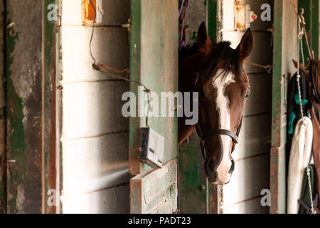 Il stabels a Fort Erie racetrack in Fort Erie, Ontario, Canada. Foto Stock